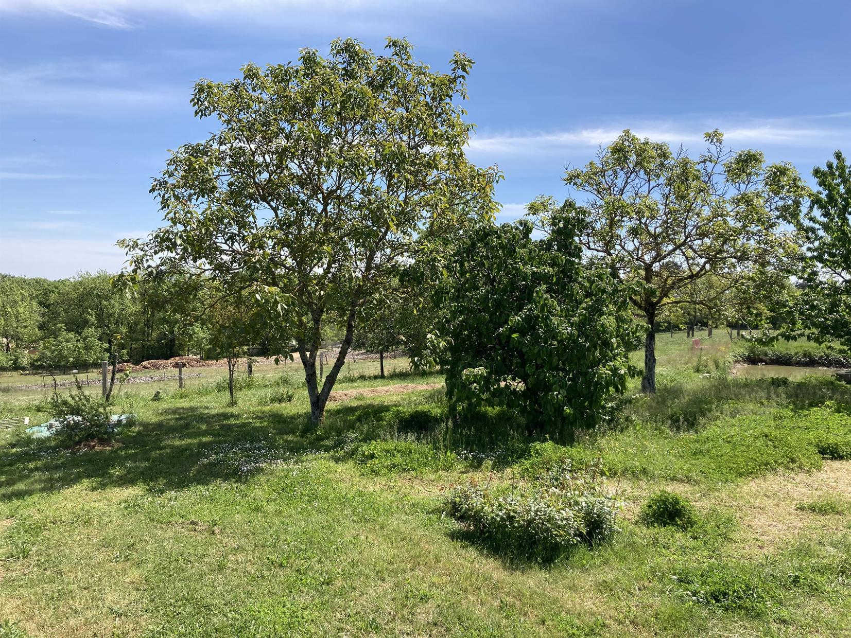 DOMAINE DE GALITRAN, Villeneuve-lès-Bouloc - photo 234