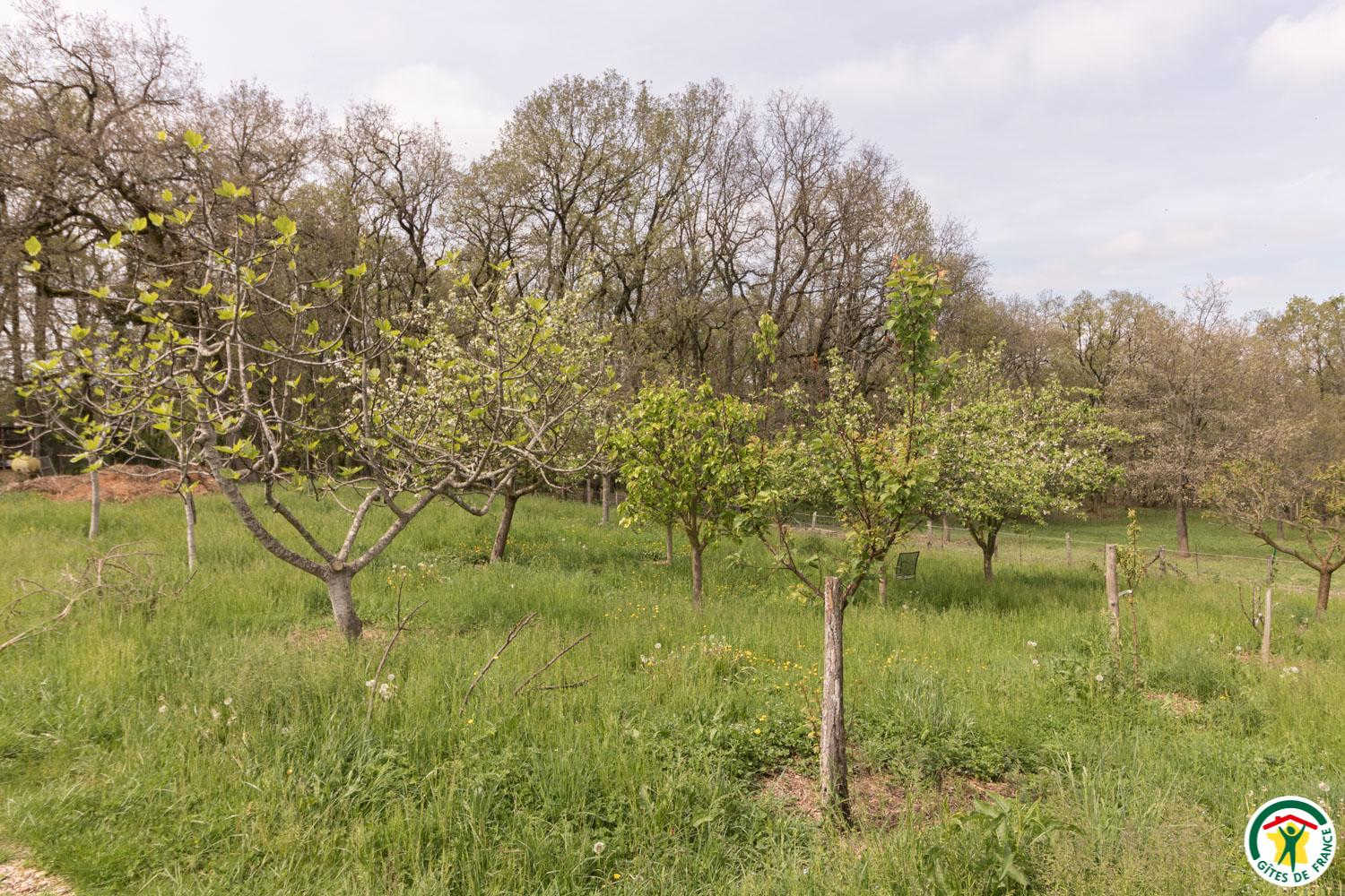 DOMAINE DE GALITRAN, Villeneuve-lès-Bouloc - photo 235