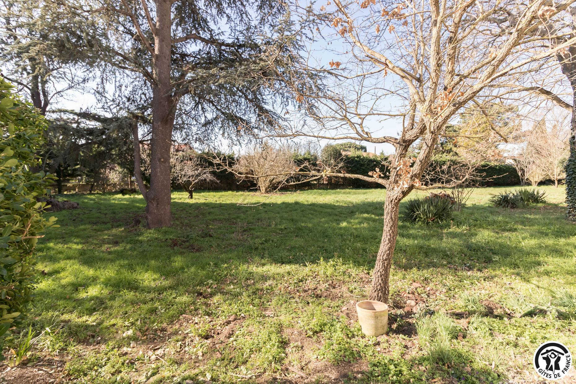 LE CHILI, Pins-Justaret - photo 255
