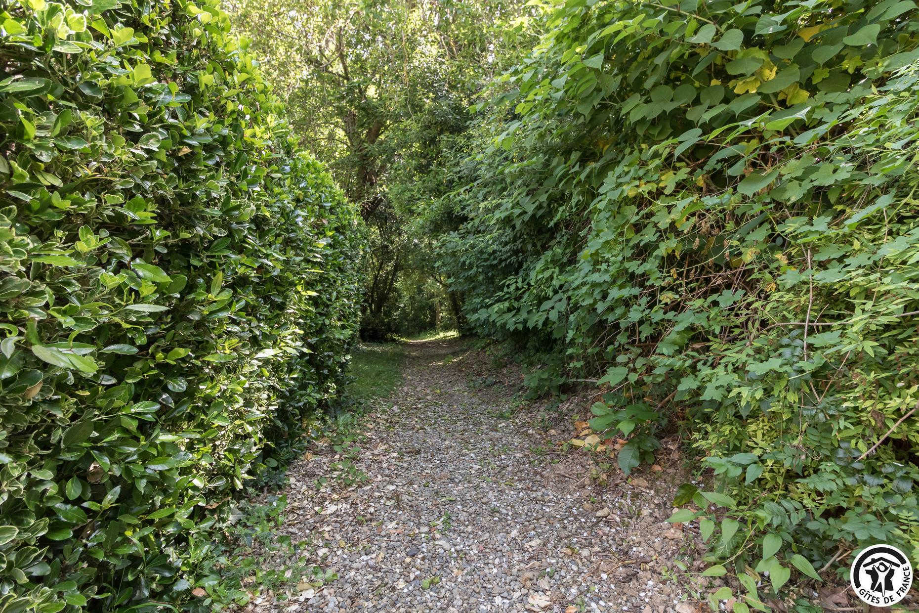 DE LA FOURRAGÈRE, Fourquevaux - photo 146