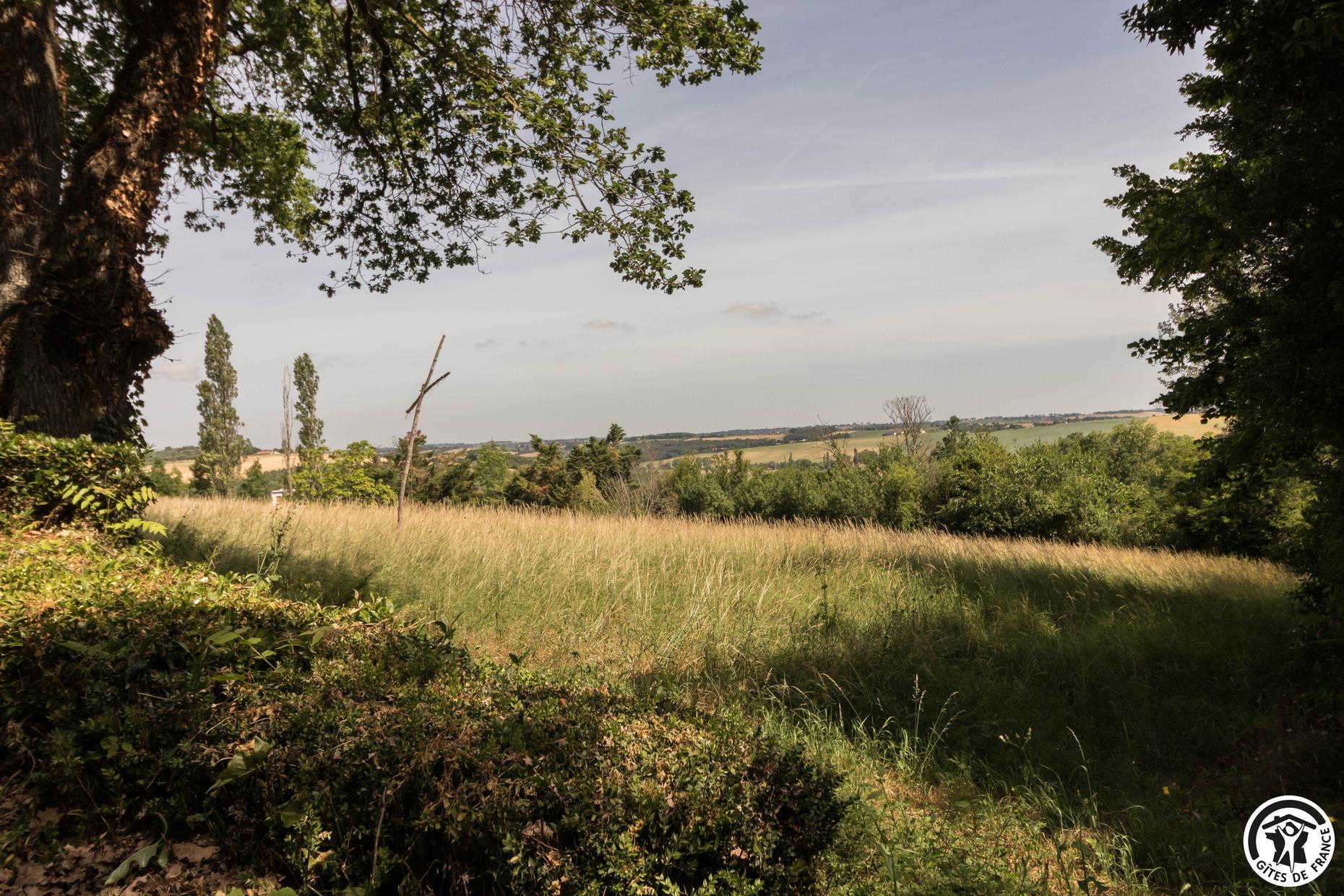 DE LA FOURRAGÈRE, Fourquevaux - photo 120