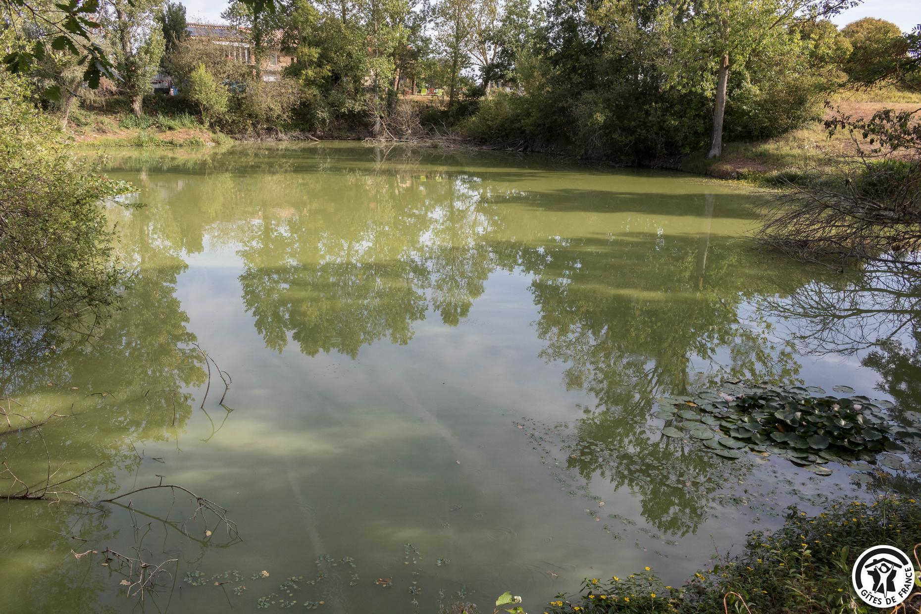 LE PIGEONNIER DE LA RIVIÈRE, Saint-Jory - photo 176