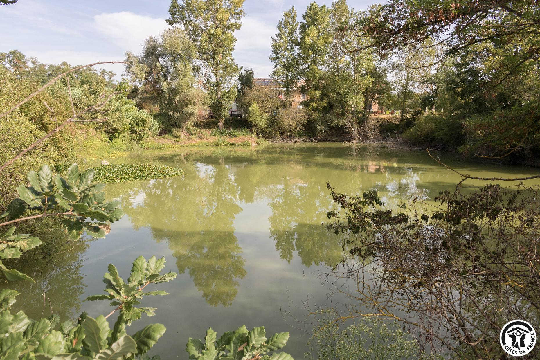 LE PIGEONNIER DE LA RIVIÈRE, Saint-Jory - photo 159
