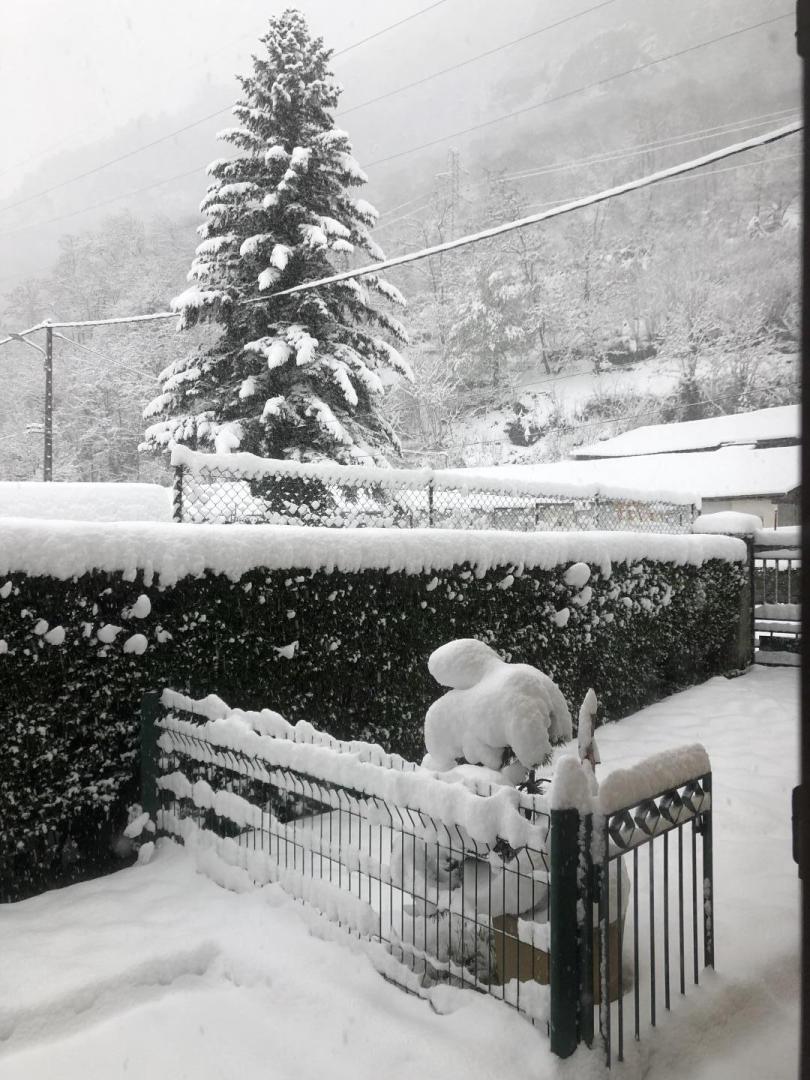 FENÊTRE SUR SUPERBAGNÈRES, Bagnères-de-Luchon - photo 98