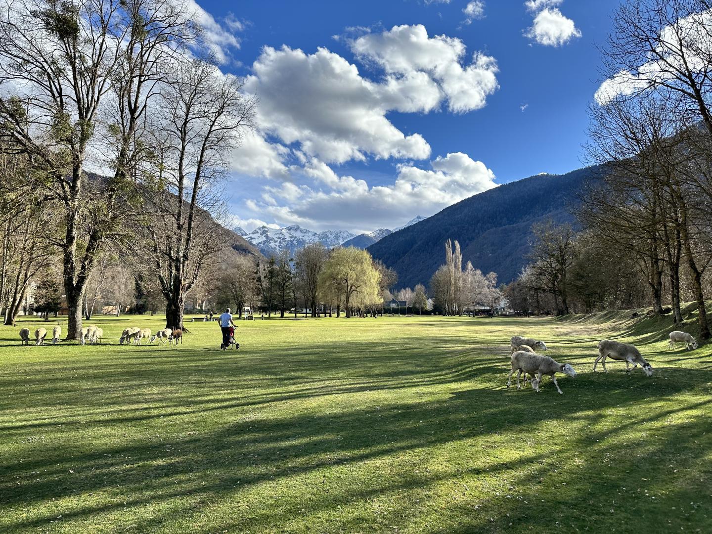 FENÊTRE SUR SUPERBAGNÈRES, Bagnères-de-Luchon - photo 106