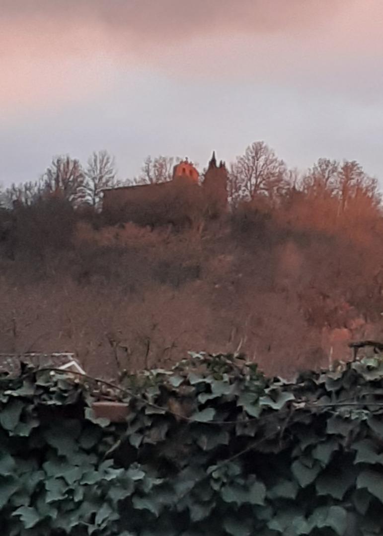 RANDO-BELLES RIVES, Muret - photo 226