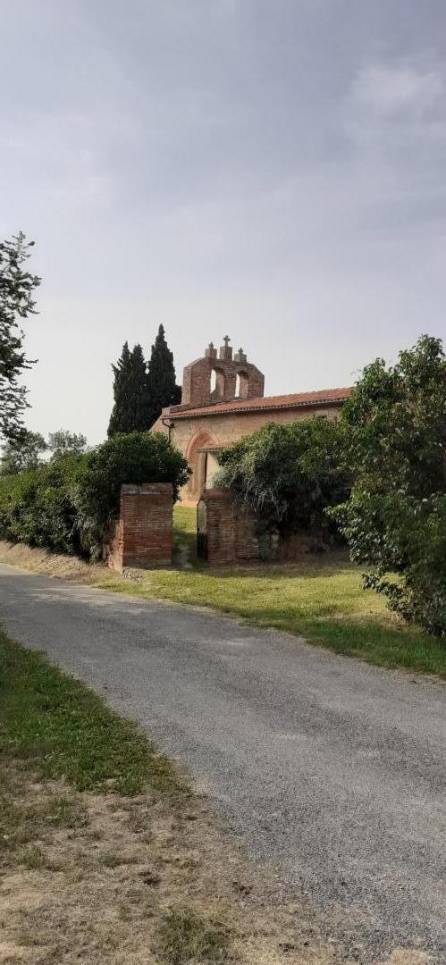 RANDO-BELLES RIVES, Muret - photo 215