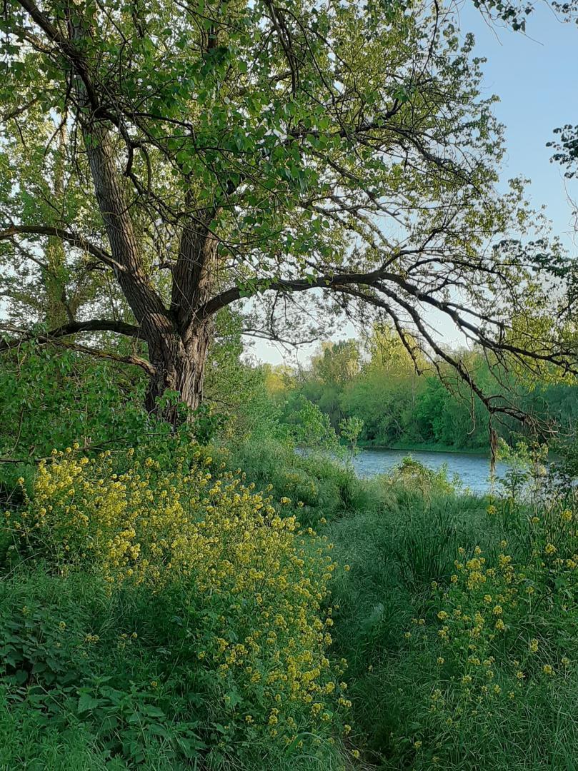 RANDO-BELLES RIVES, Muret - photo 223