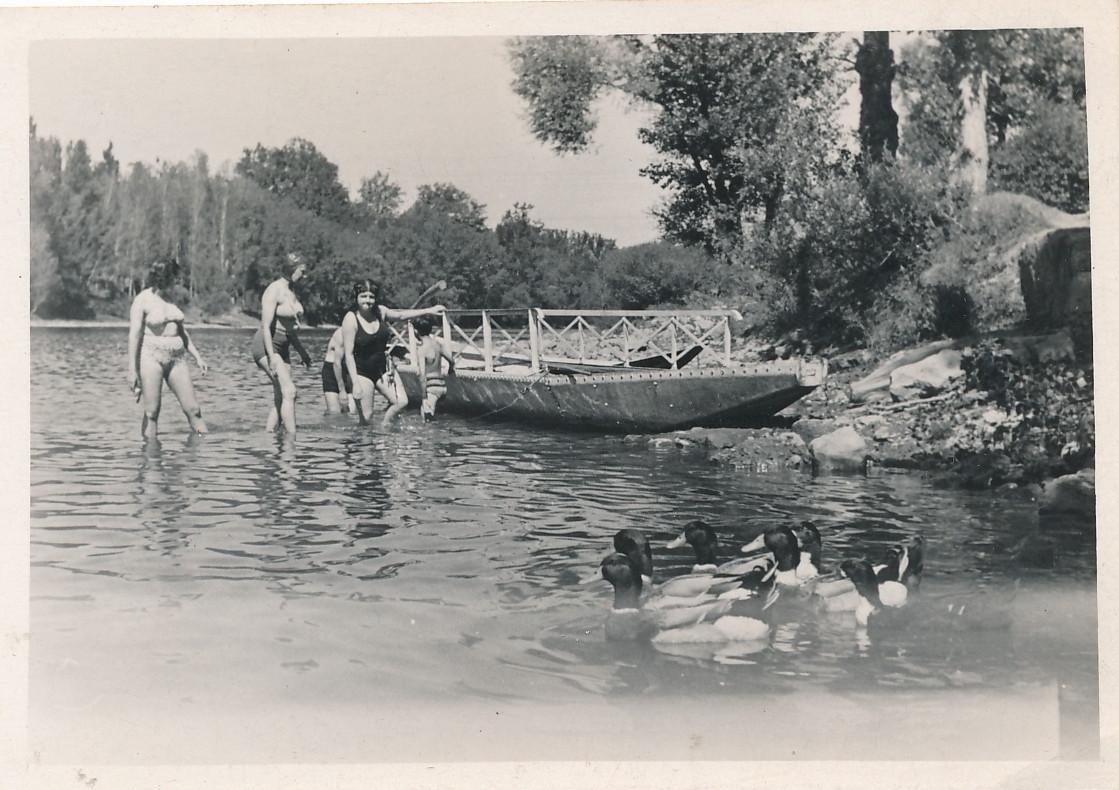 RANDO-BELLES RIVES, Muret - photo 224