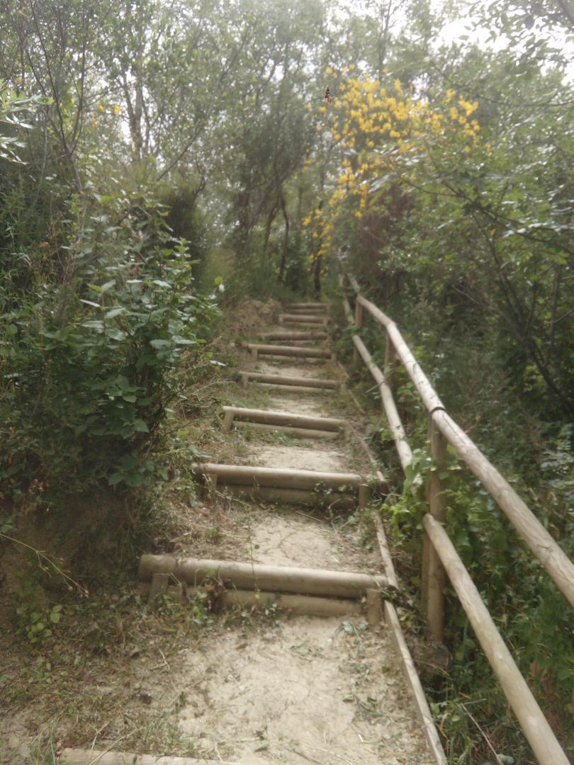 RANDO-BELLES RIVES, Muret - photo 230