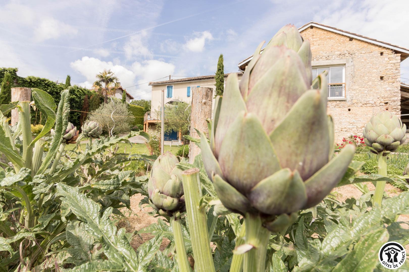 UN COCON SUR LA VIA GARONA - photo 3