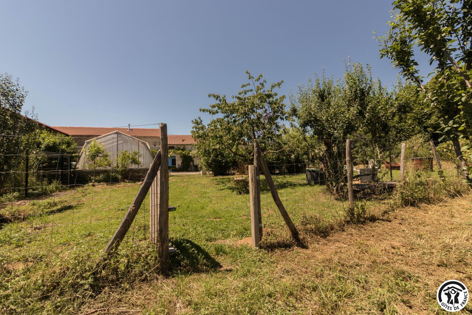 LE GÎTE DES LOULOUS, Villeneuve-Lécussan - photo 360