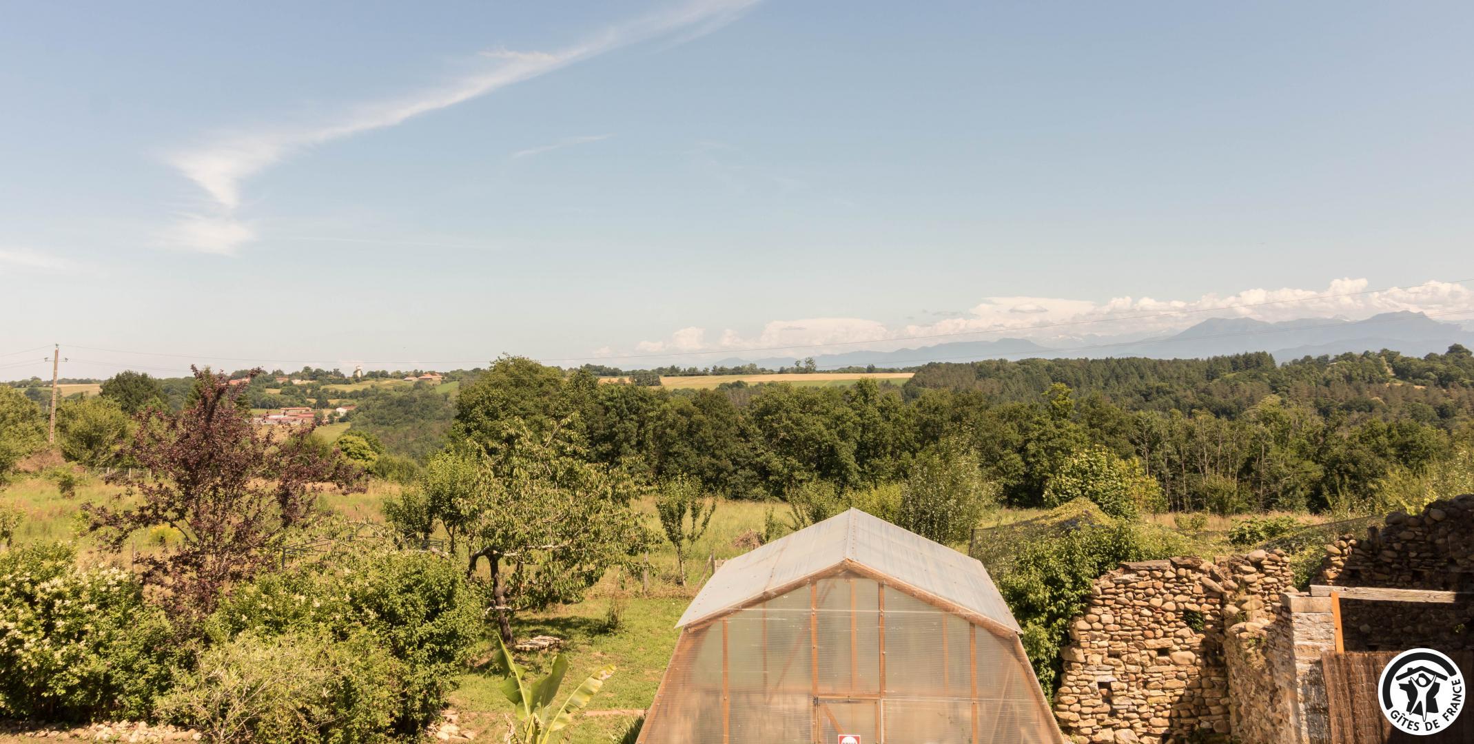 LE GÎTE DES LOULOUS, Villeneuve-Lécussan - photo 381
