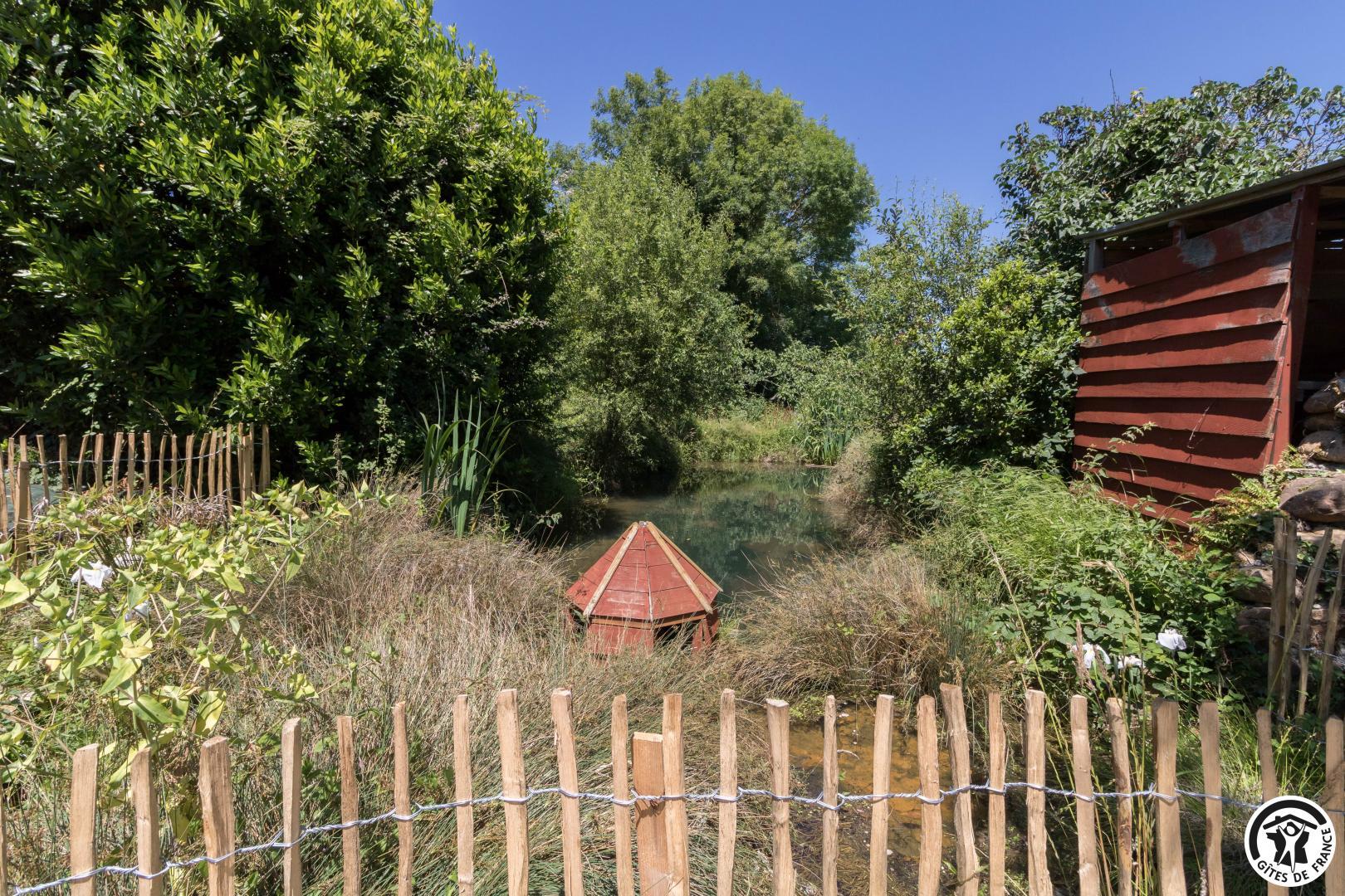 LE GÎTE DES LOULOUS, Villeneuve-Lécussan - photo 369