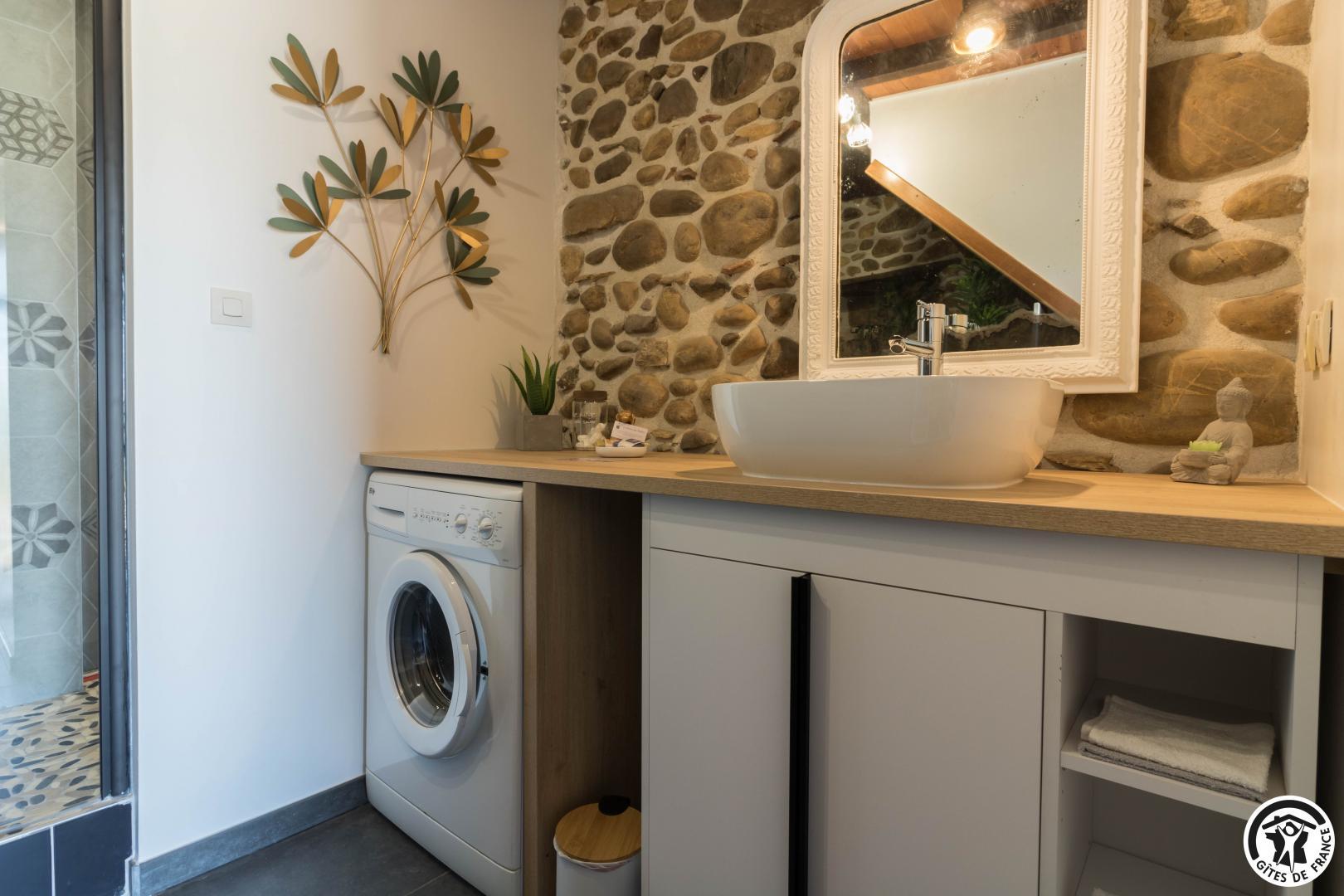 LE GÎTE DES LOULOUS, Villeneuve-Lécussan - photo 387