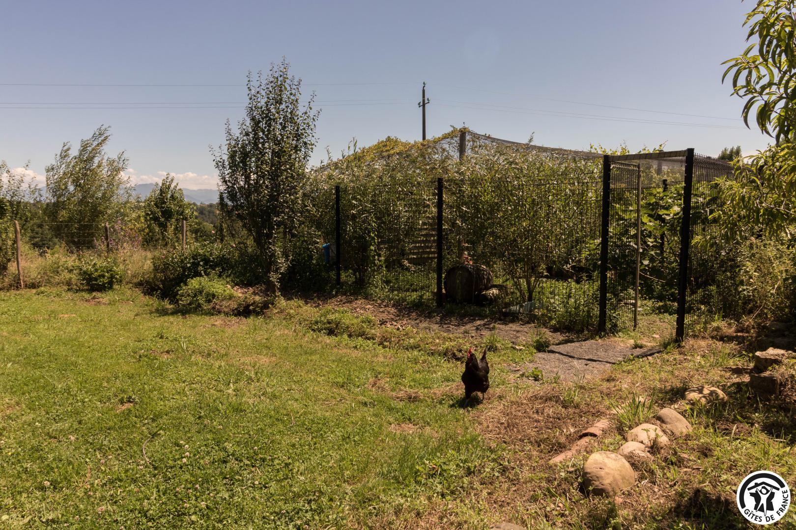 LE GÎTE DES LOULOUS, Villeneuve-Lécussan - photo 380