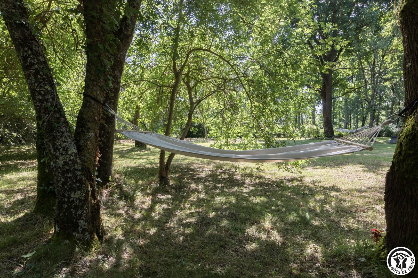 DOMAINE DU BÉGUÉRAT, Brax - photo 131