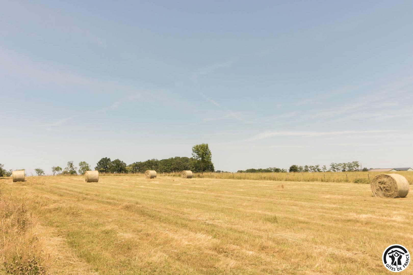 LA FERME, Ponlat-Taillebourg - photo 235