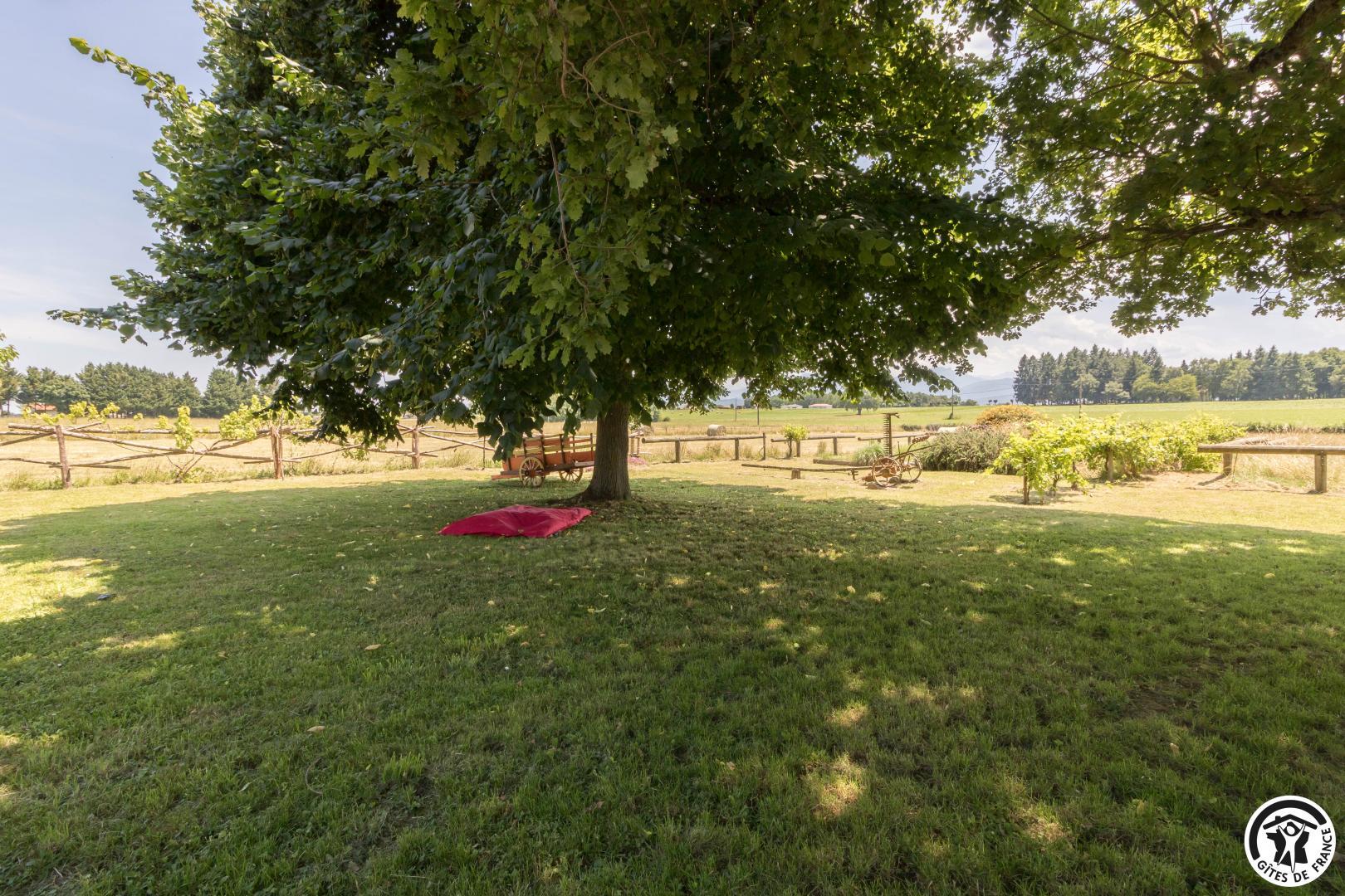 LA GRANDE FERME, Ponlat-Taillebourg - photo 334