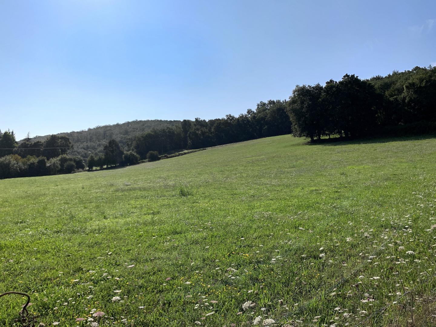L'ECOLE À L'ANCIENNE, Aulon - photo 127