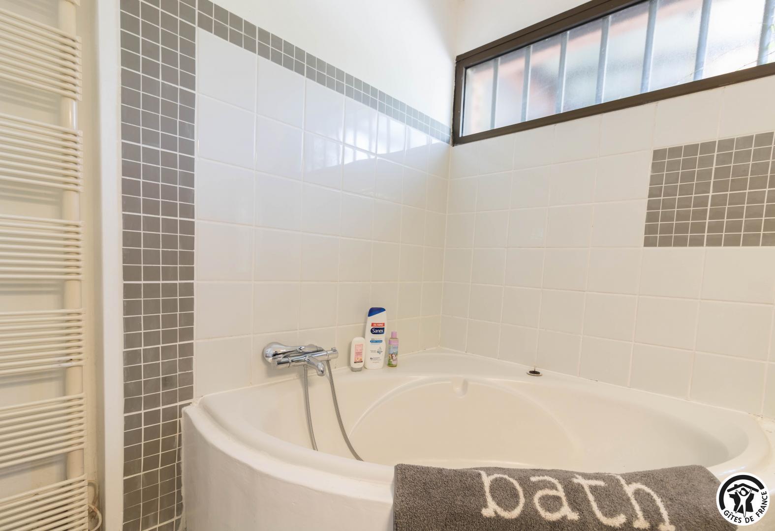VILLA MUSHA, Pin-Balma - photo 328