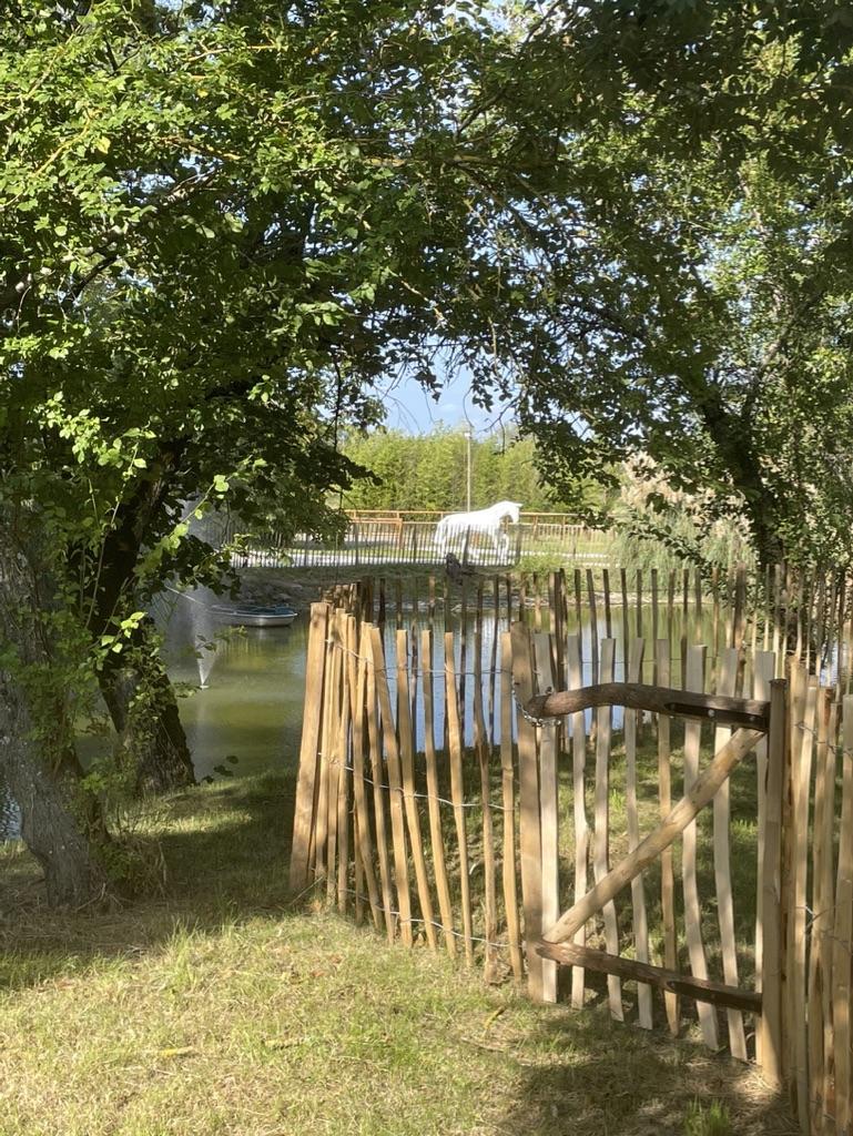 LES ECURIES DE MARTIN, Saint-Félix-Lauragais - photo 388