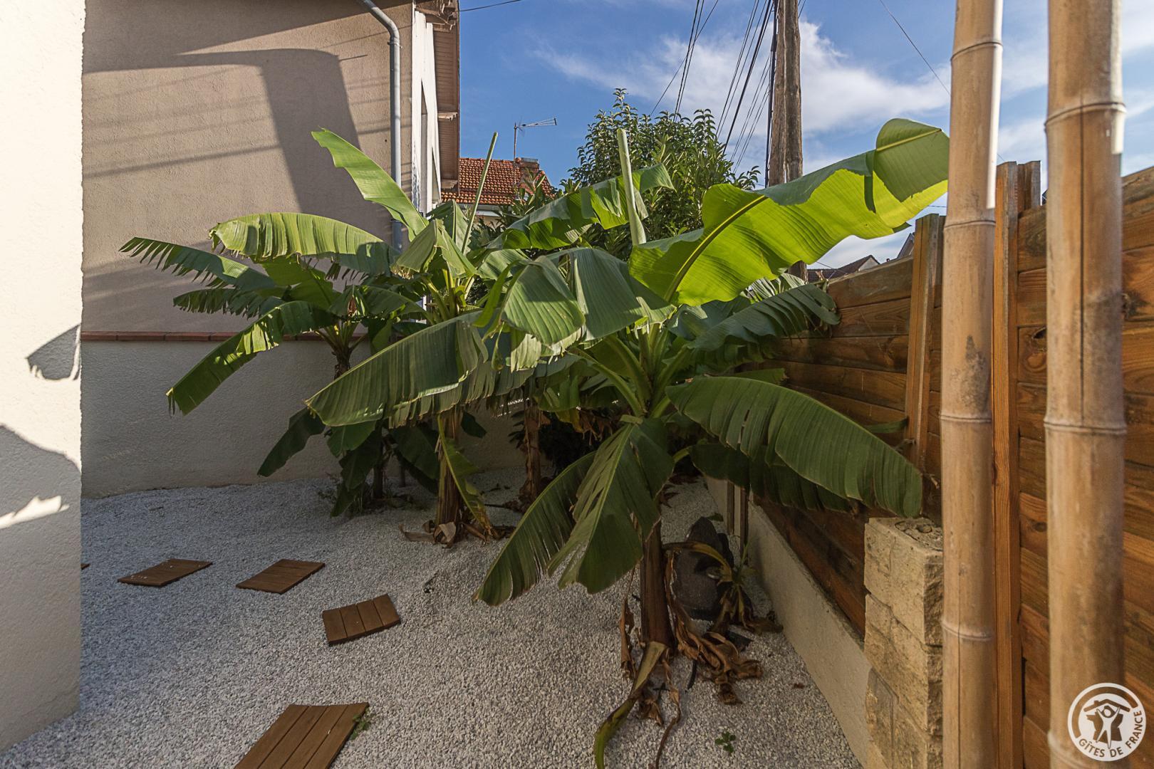 JUNGLE LOVE ROOM, Toulouse - photo 142