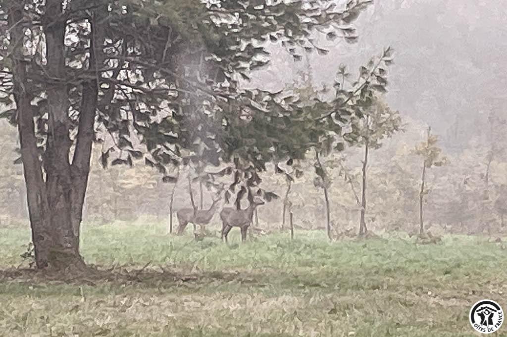 CHEZ HUBELISE, Sepx - photo 365