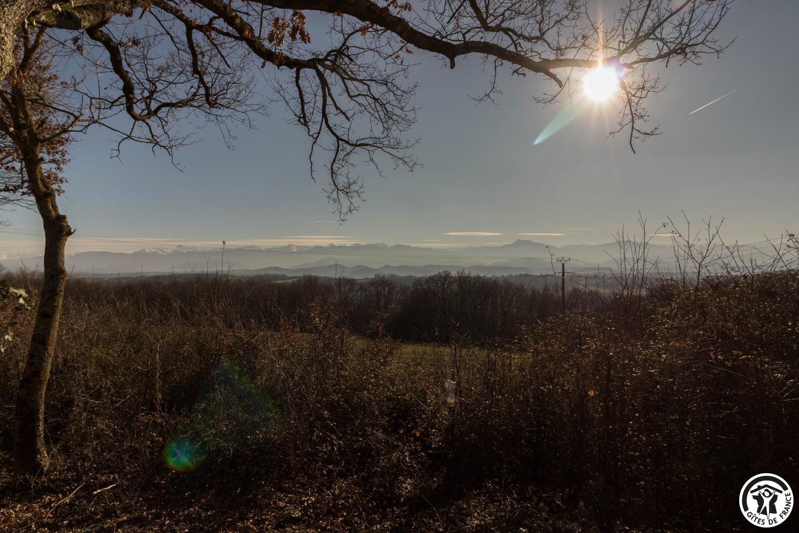 CHEZ HUBELISE, Sepx - photo 388