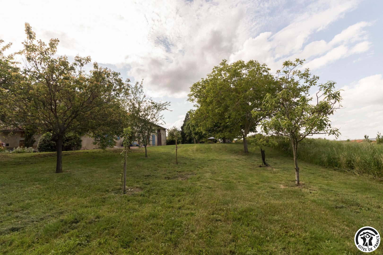 LA RALLE, Donneville - photo 291