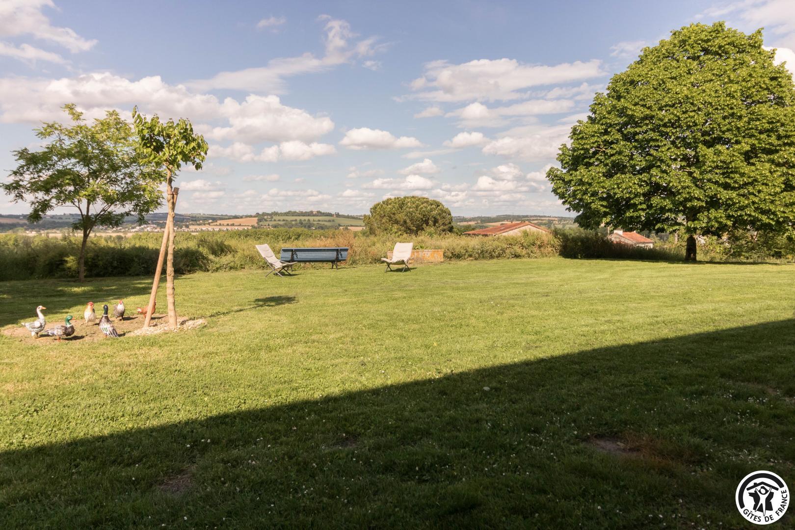 LA RALLE, Donneville - photo 286