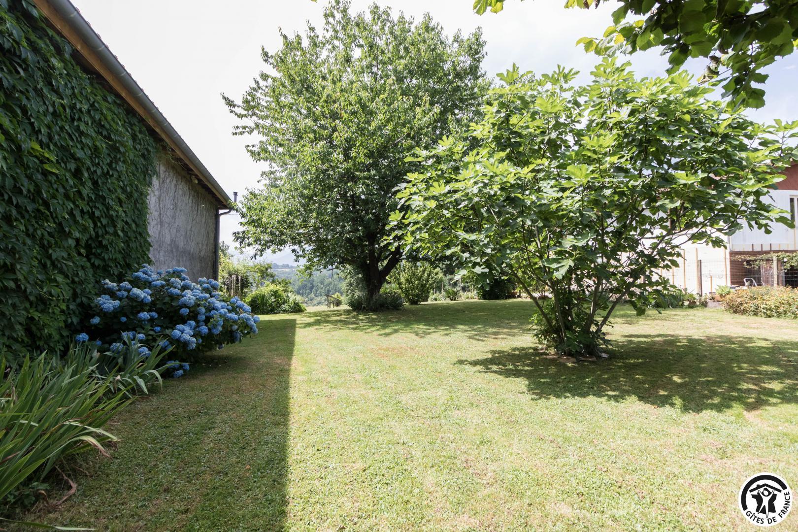 BERDUC, Les Tourreilles - photo 138