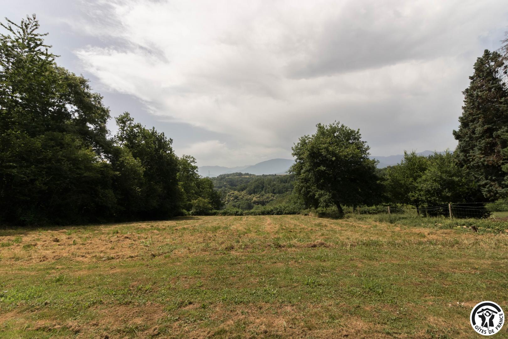 BERDUC, Les Tourreilles - photo 161