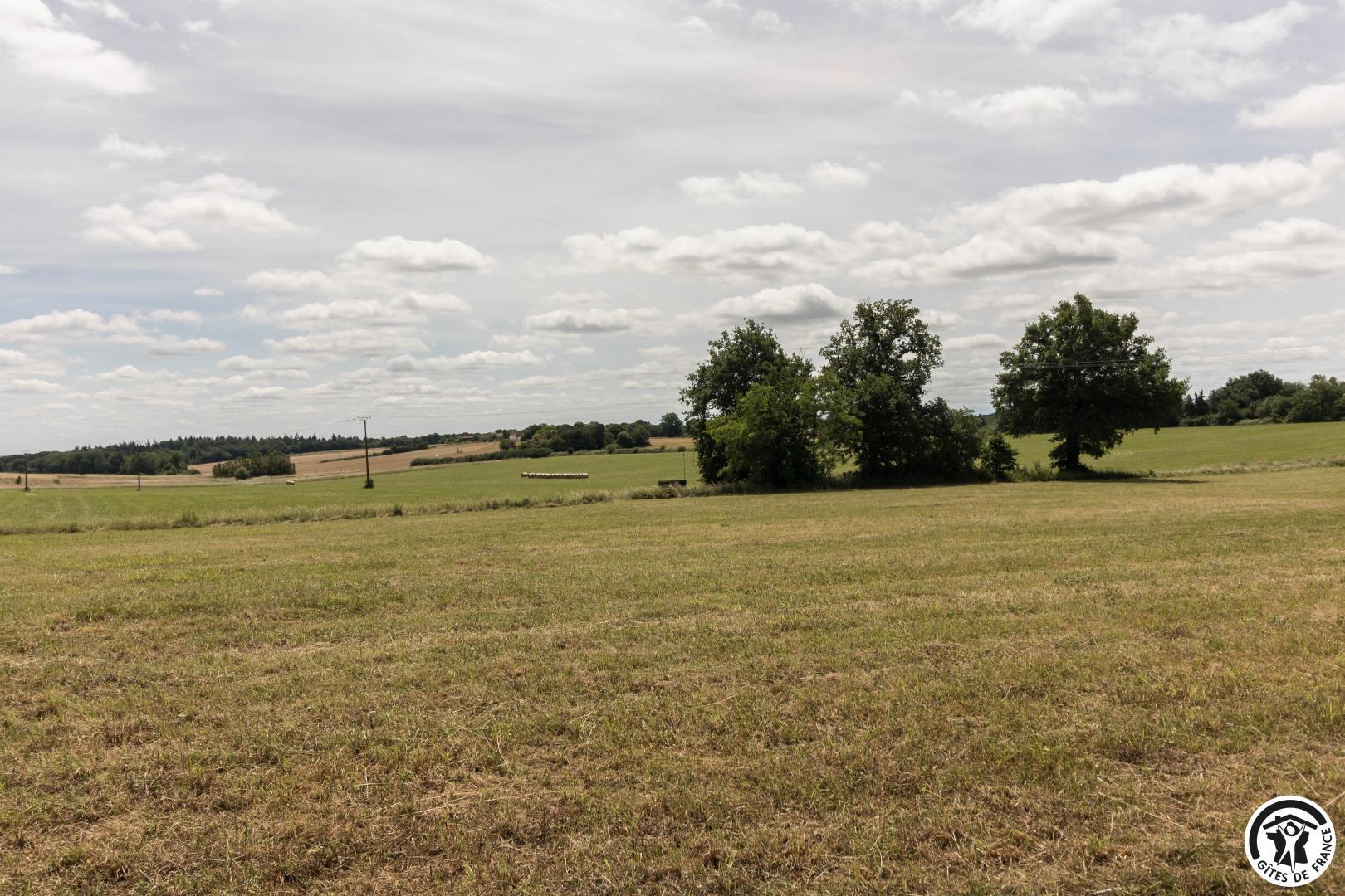 CASTEL GINEST, Lahage - photo 282