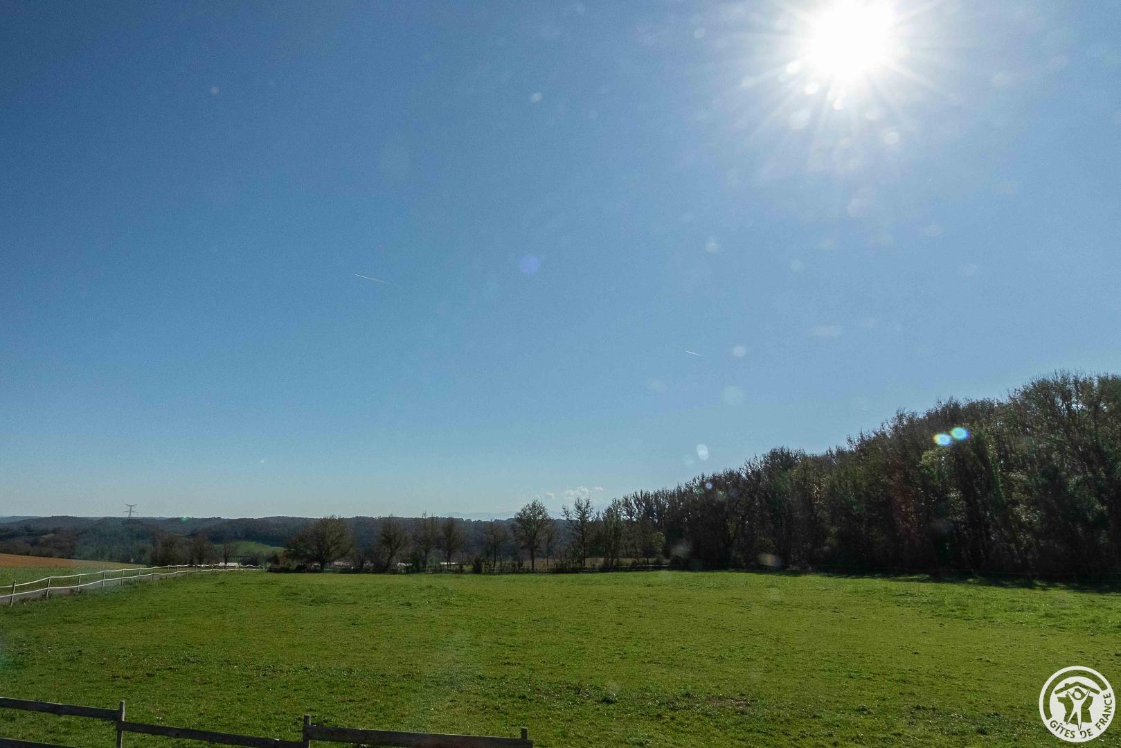 LE COCON EST DANS LE PRÉ - photo 5