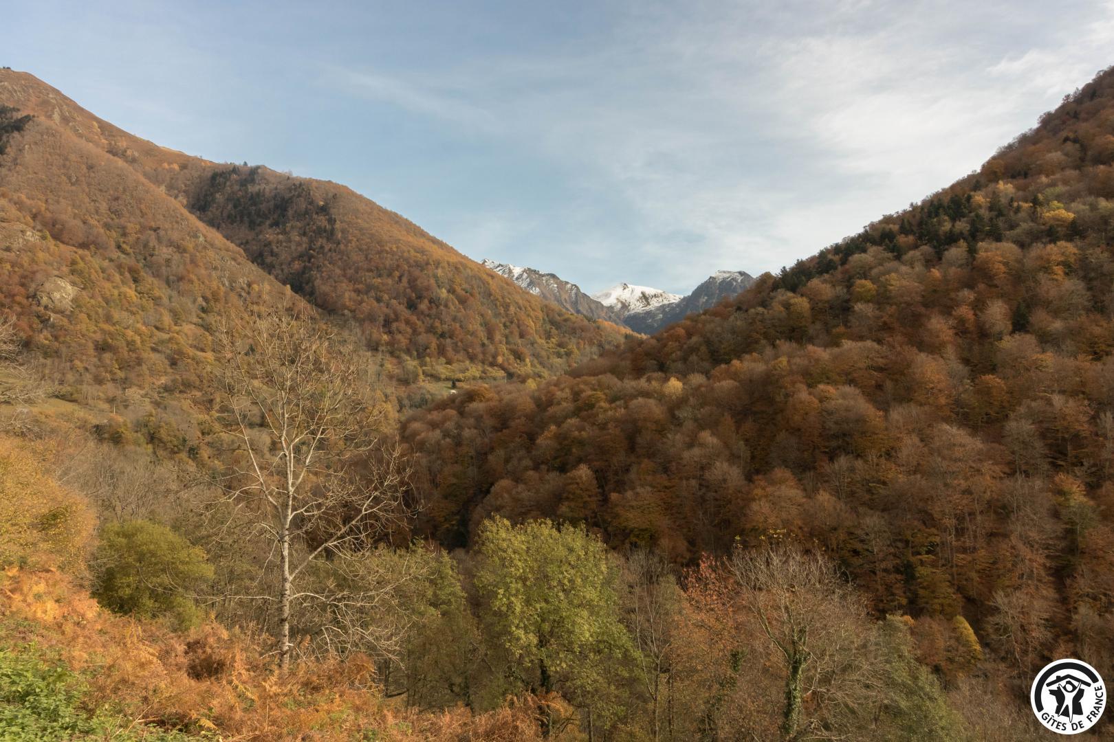 LE CHALET BARIMALE, Melles - photo 454
