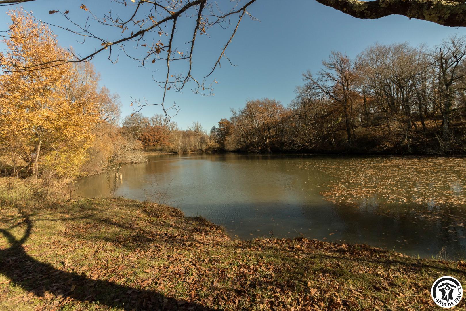 LE HAVRE DU LAC, Brignemont - photo 326