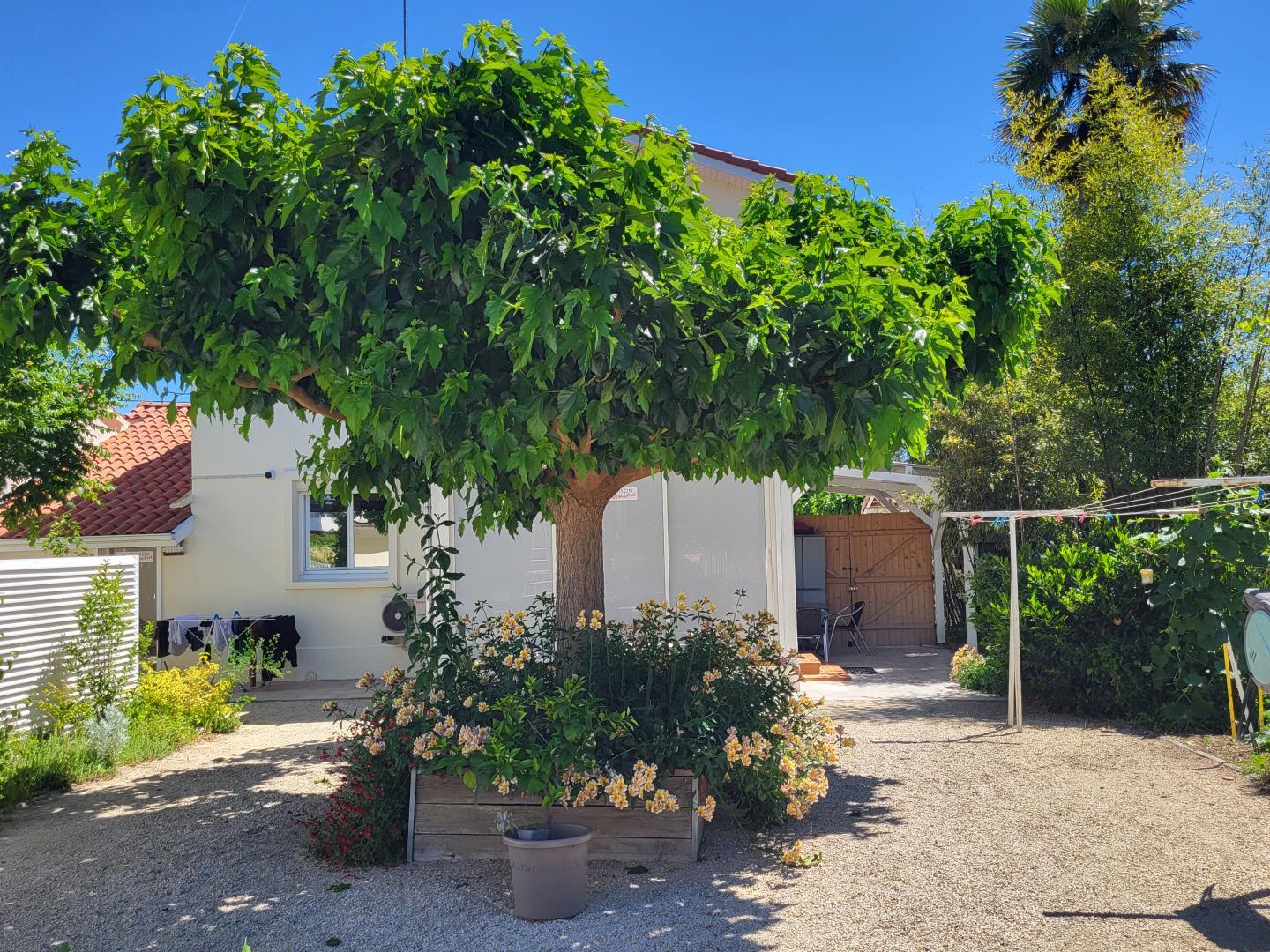 MAISON VENITIA T2, Aussonne - photo 152