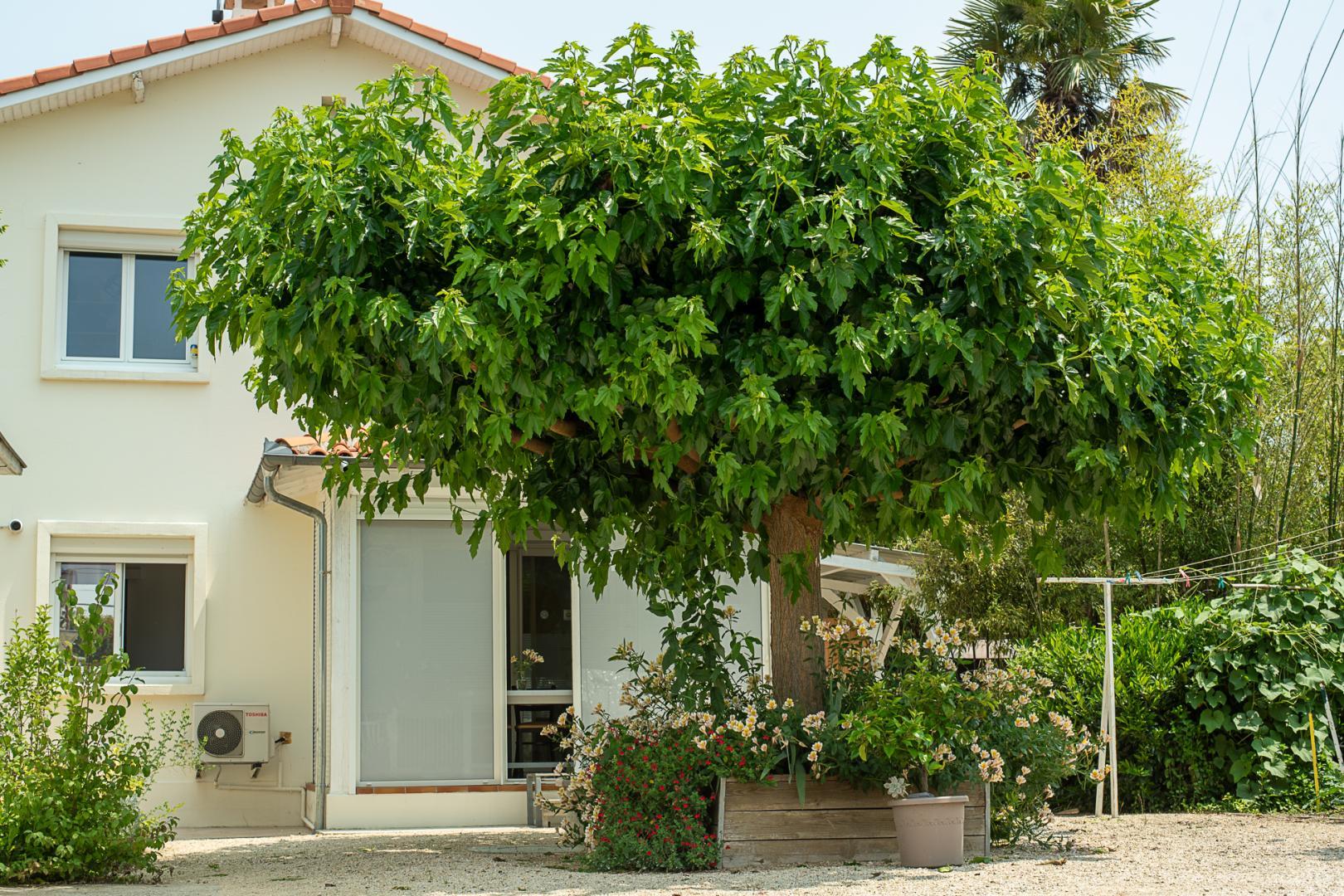MAISON VENITIA T2, Aussonne - photo 155