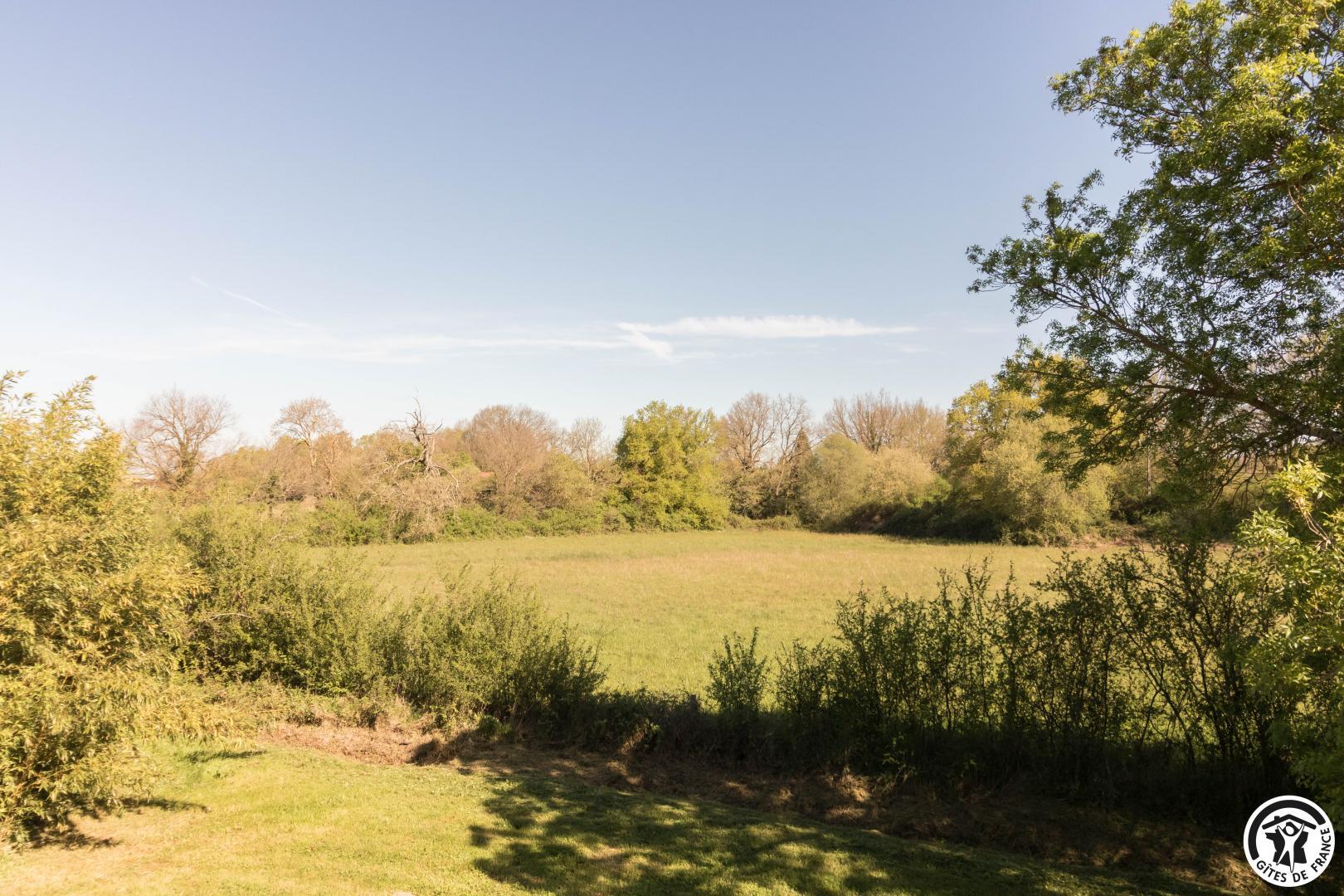 LE BOUCAOU, Sabonnères - photo 242