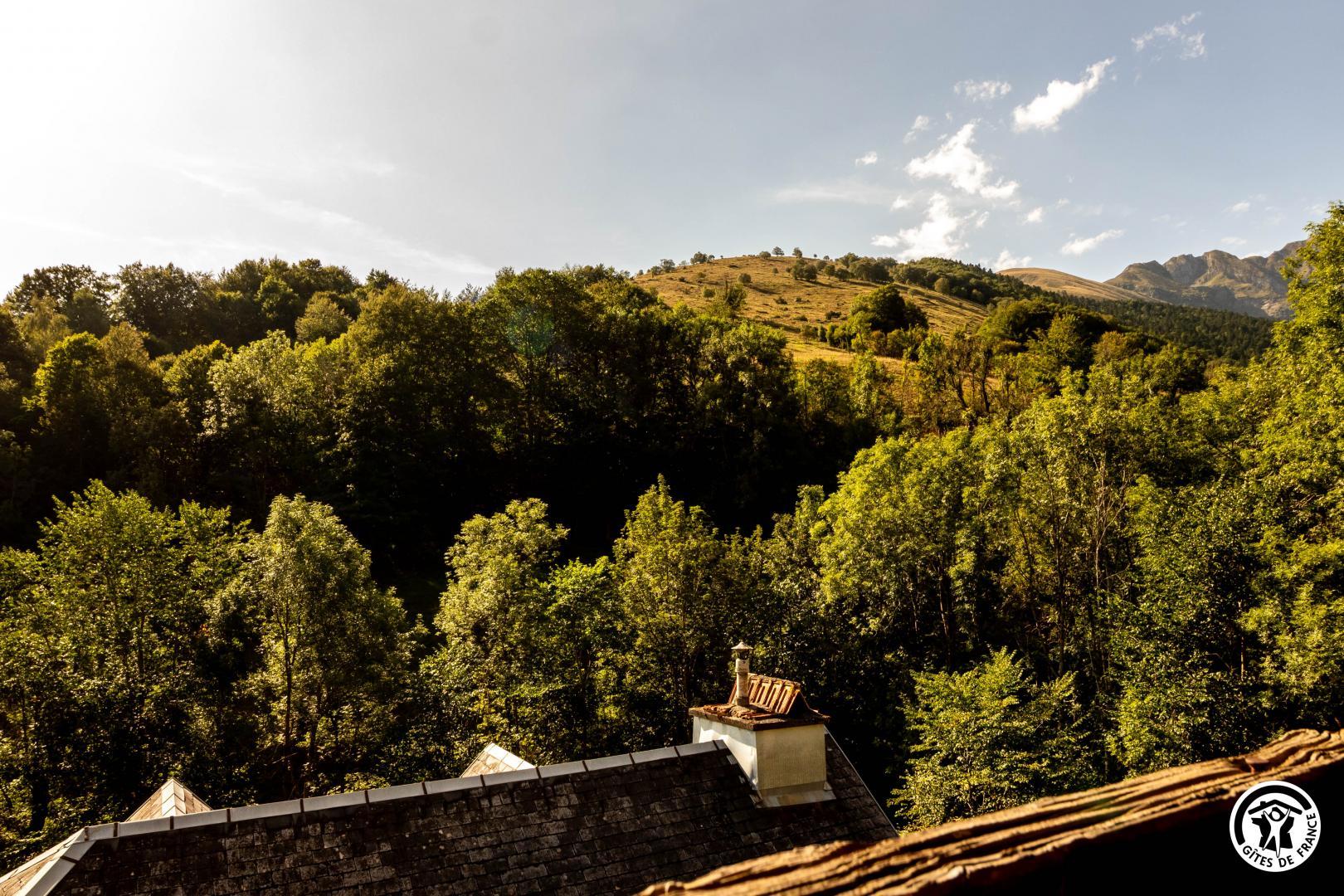 Gîte Larden