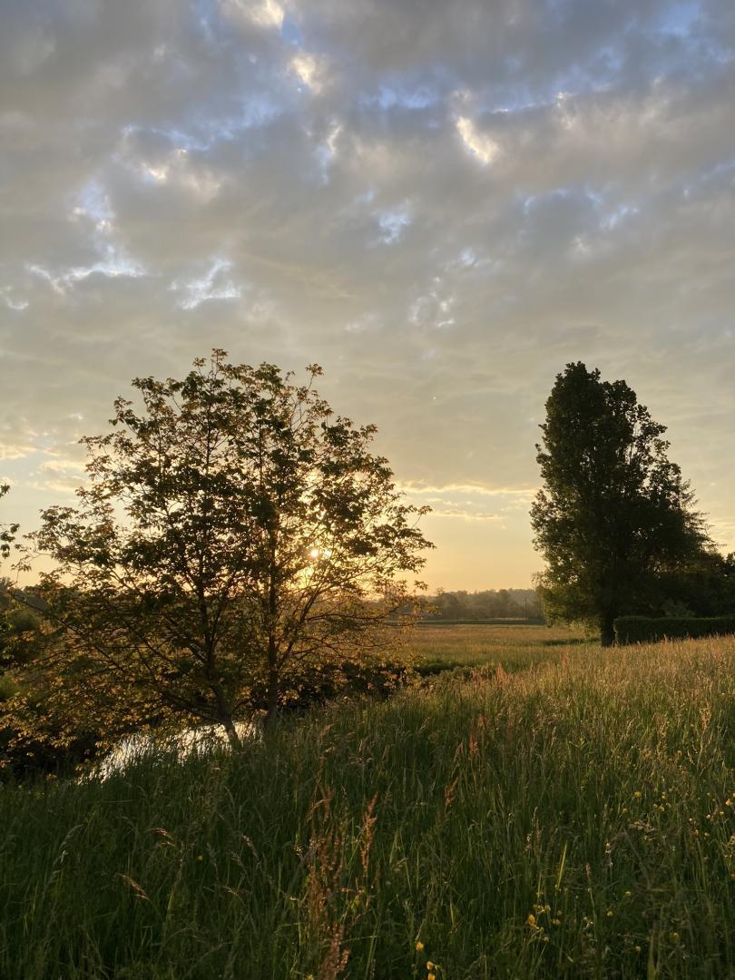 LES PESQUES, Palaminy - photo 165