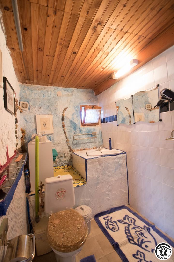 LE CANARD FOU, Péguilhan - photo 159