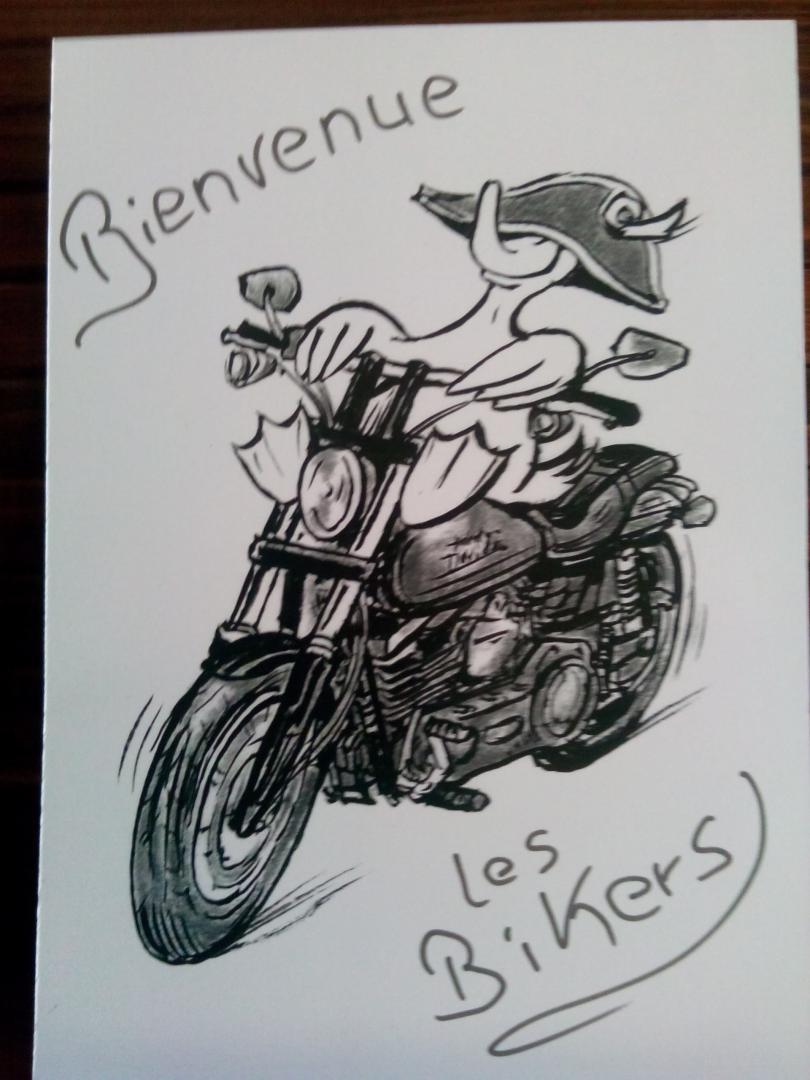 LE CANARD FOU, Péguilhan - photo 170