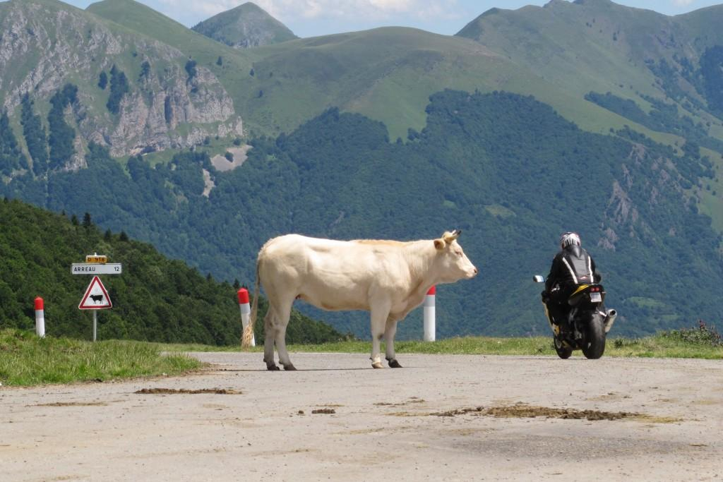 LE POUJASTOU, Juzet-de-Luchon - photo 325
