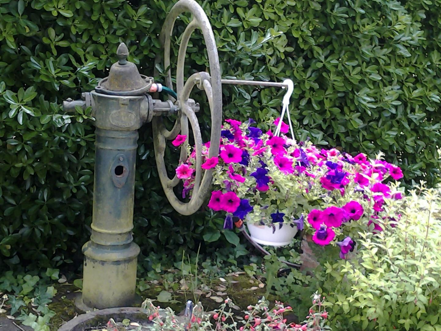 LES DOUVES, Saint-Thomas - photo 150