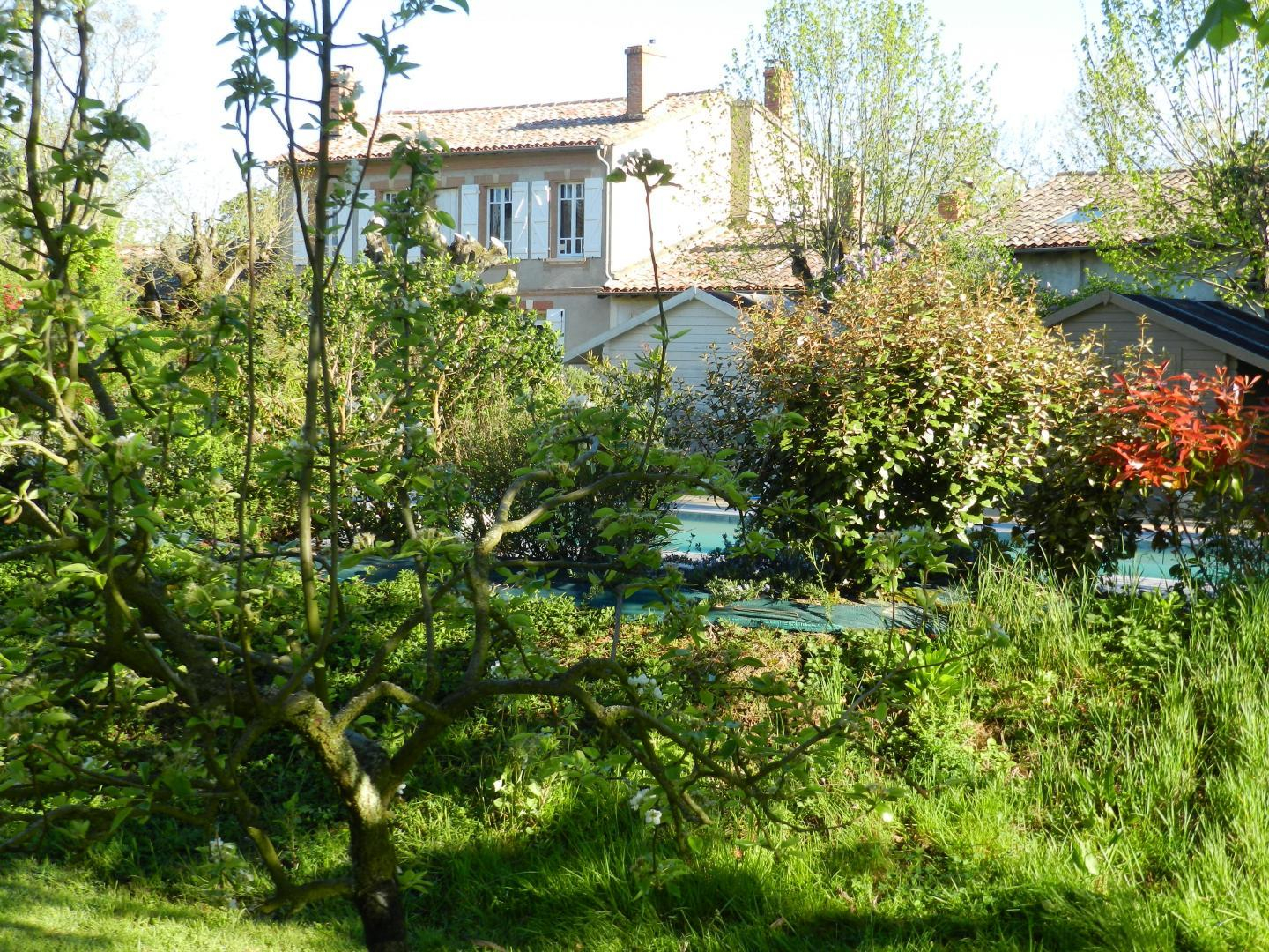 LES DOUVES, Saint-Thomas - photo 149