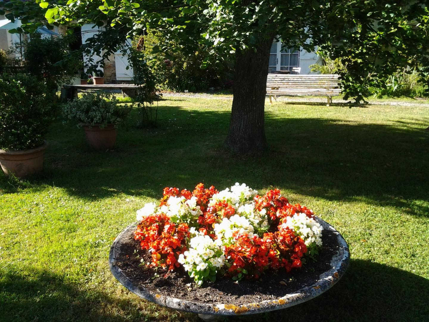 LES DOUVES, Saint-Thomas - photo 137