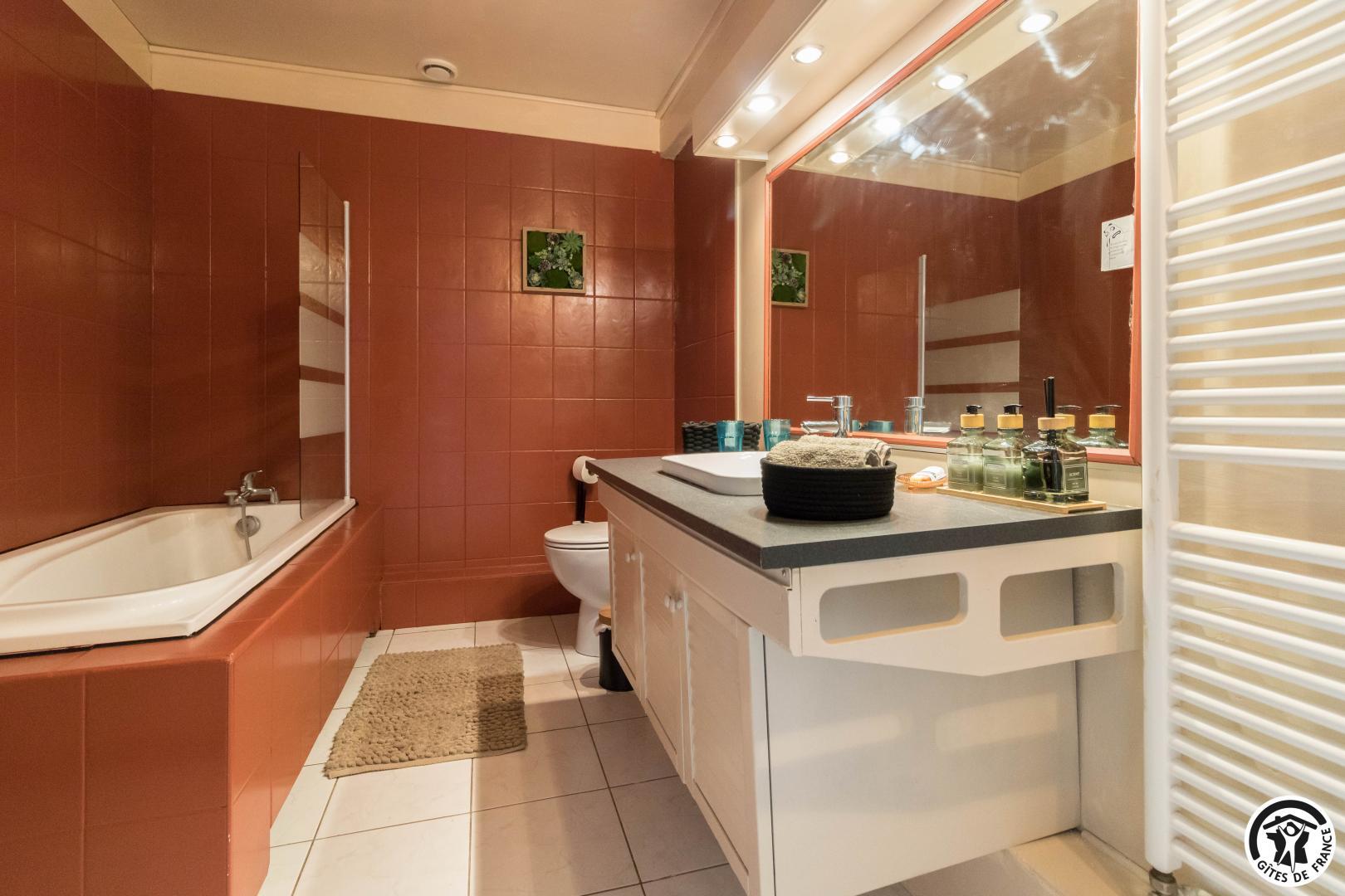 LA CHAMBRE GOURMANDE D'EN RICHARD, Auriac-sur-Vendinelle - photo 116
