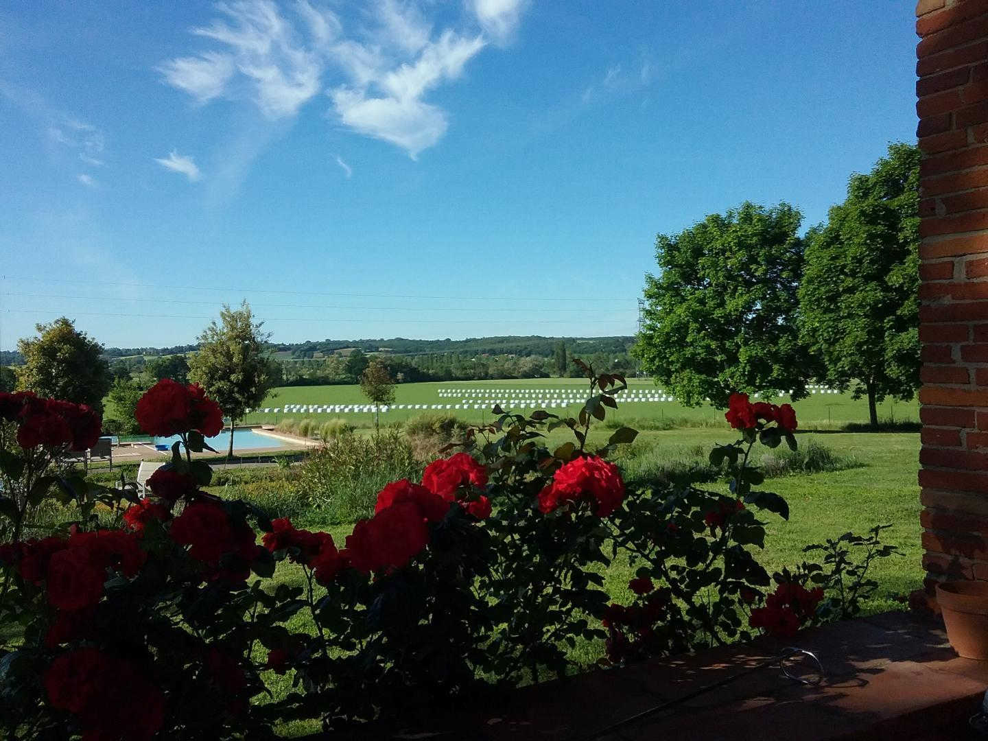 Domaine De Lavergne